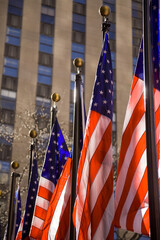 American flags in sunlight.