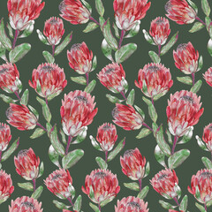 Seamless watercolor pattern with vertical protea flowers for textile and surface design