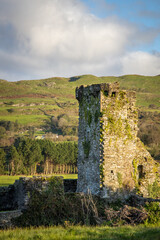 Ancient Ruins of Carriganass Castle, County Cork