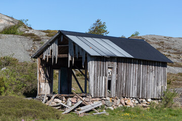 Grey wooden barn with wall falling down. Green grass with summer flowers and rocks in background.