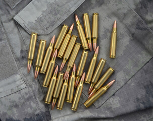 Loaded 223/5.56 Cartridges. Full metal jacket bullets.