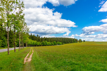 Unterwegs auf den Höhen des Thüringer Waldes bei Neustadt am Rennsteig - Thüringen - Deutschland