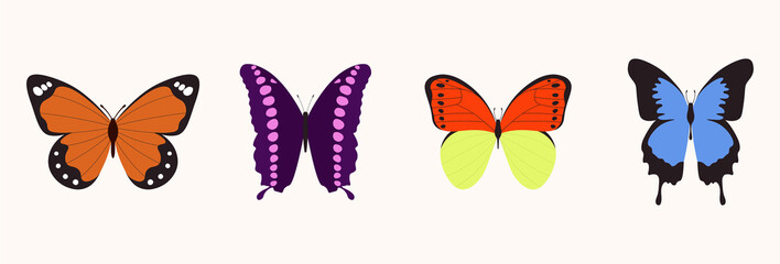 Set Of Different Beautiful Butterflies Vector Illustration In A Flat Style
