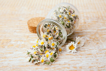 Dried herbal medicinal plant Common Daisy, also known as Bellis Perennis. Dry flower blossoms in glass jar and wood spoon, ready for making herbal tea, indoors still life.
