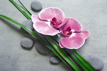 Flat lay composition with spa stones, orchid pink flower and palm leaves on grey background.