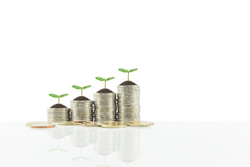 Wealth creation, strategies for financial success concept : Small tree / sprout grow on stacks of...