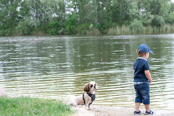 Obraz na płótnie Canvas A little boy plays with a purebred Shih Tzu dog in the summer on the shore near the river. Soft focus.