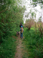 Family walking with dogs on green grass rural landscape. Countryside cottagecore style. Camping activity spring forest. Candid authentic people father and daughter with pets from behind hiking outdoor