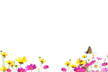 Flowers isolated on transparent background, Flower summer spring flowers overlay, frame background, border overlay, without background png	