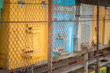 Village transportable apiary on a cart, stands on the field. bees collect honey.