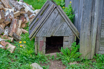 an old abandoned doghouse in an old garden, farm