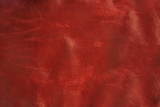 close-up of beautiful texture genuine leather of fine dressing, products of tanneries for clothes, shoes, furniture, concept material sample, color orange, red, background for designer