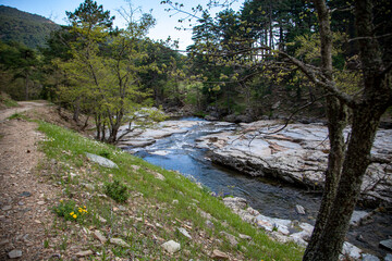 Fototapeta na wymiar Stream in Ida Mountain, Beautiful nature. Turkey.