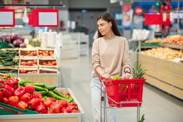 Young adult woman wearing casual outfit walking along aisles with shopping cart choosing things to buy in modern store