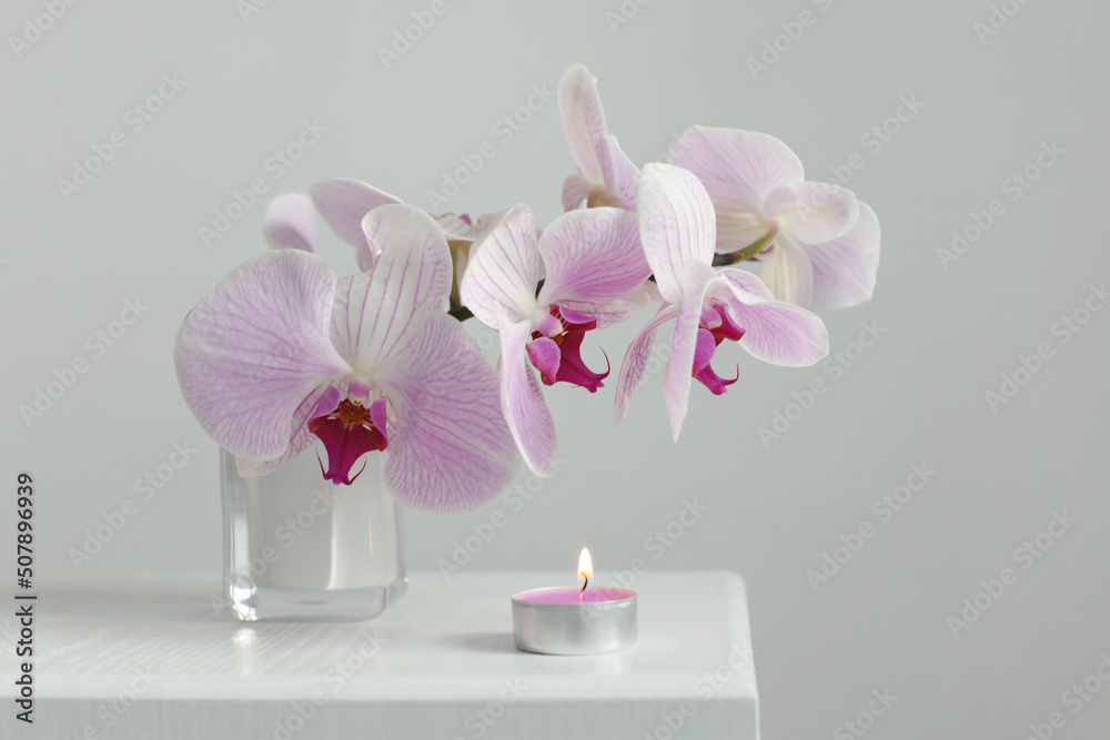 Wall mural Pink phalaenopsis orchid flower with burning candle in gray interior. Selective soft focus. Minimalist still life. Light and shadow nature horizontal long background.