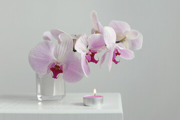 Pink phalaenopsis orchid flower with burning candle in gray interior. Selective soft focus. Minimalist still life. Light and shadow nature horizontal long background.