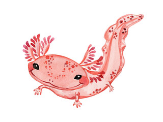 Watercolor ruddy baby axalotl