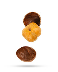 Sweet chestnuts falling in the air isolated on white background.