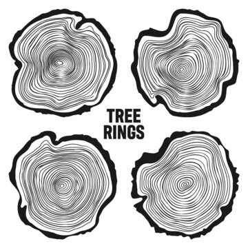 Round tree trunk cuts, sawn pine or oak slices, lumber. Saw cut timber, wood. Wooden texture with tree rings. Hand drawn sketch. Vector illustration