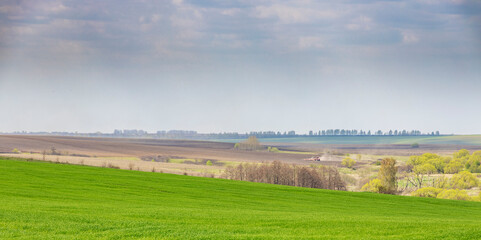Fototapeta premium Agricultural work in the field in early spring.