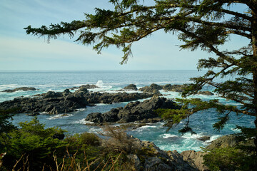 Wild Pacific Trail Views Vancouver Island. The view of the coastline from the Wild Pacific Trail near Ucluelet, BC.

