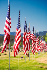 American flags in a row at a cemetery - Photographed on Memorial Day in Lassen County, California, USA