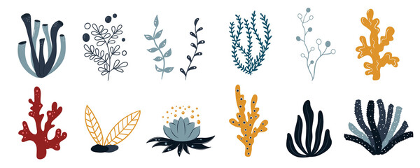 Set marine plants, corals and seaweed. Icons of underwater reef plants. Vector in cartoon style.
