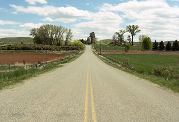  Looking down middle of the road in Shell, Wyoming, you see pasture land, trees and farm houses with the horizon and blue sky and clouds beyond.