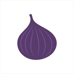 fig fruit vector illustration flat style