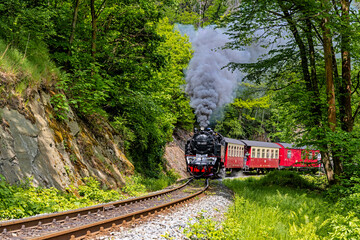 Selketalbahn Eisenbahnromantik im Selketal Harz