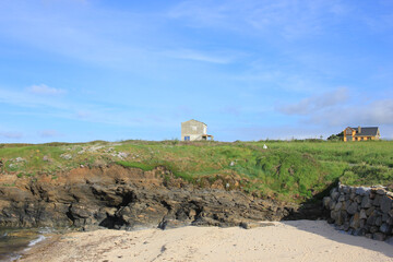 sheep in the mountains