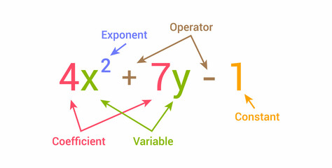 parts of polynomial algebraic expressions