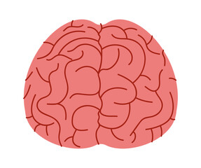 Human brain organ. Vector illustration