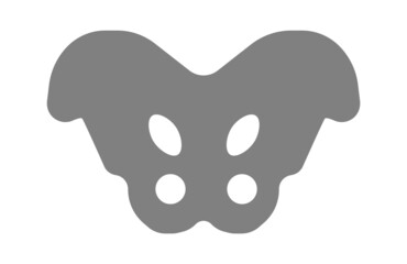 Human pelvic skeleton. Vector illustration