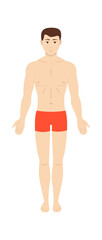 Man in swimming trunks. Vector illustration
