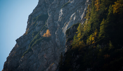 Autumn in the mountains