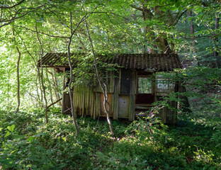 Fototapeta na wymiar Versteckte alte Hütte im Wald