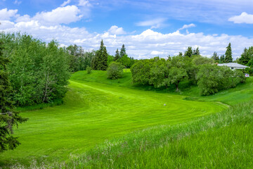 Fototapeta na wymiar Mowed grass at Mill creek Ravine, Edmonton