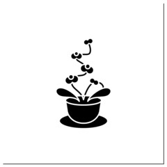 Phalaenopsis glyph icon. Home gardening. Many flowers. Beautiful home plant in pot. . Houseplant care concept.Filled flat sign. Isolated silhouette vector illustration