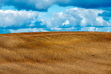 Fototapeta premium A plowed field against the sky. The season of planting crops in a wheat field. Preparing the field for planting rapeseed, wheat, rye and barley in rural areas.