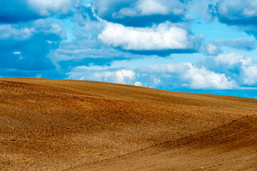 Fototapeta premium A plowed field against the sky. The season of planting crops in a wheat field. Preparing the field for planting rapeseed, wheat, rye and barley in rural areas.
