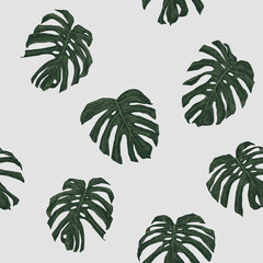 Fototapeta na wymiar Monstera palm leaves vector seamless pattern