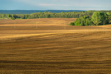 Beautiful golden rows of soil before planting at sunset. Furrowing on a plowed field prepared for spring sowing of agricultural crops. View of the land prepared for planting and growing crops.