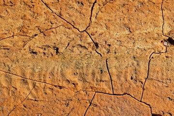 Dry and cracked soil surface