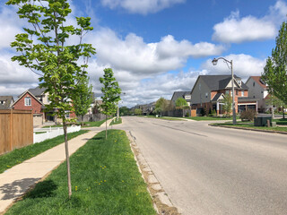 Spring city street under blue sky with white clouds