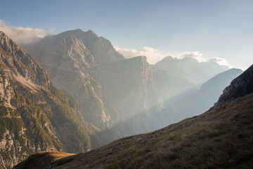 Alpine Ibex in the Julian Alps mountains