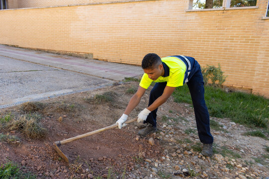 A Municipal Worker Using An Iron Hoe To Remove Dried Grass