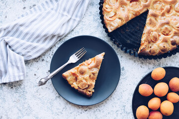 Homemade apricot tart on grey concrete background