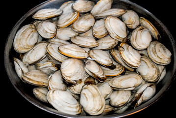 Fresh Streamer Clams Soaking to Clean Away Sand