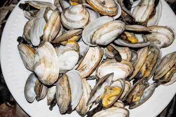 Cooked Streamer Clams - Closeup of a Full Plate